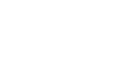TUDelft