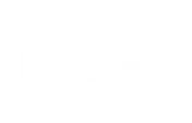 TUDelft